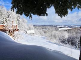 Komfortowy Dom w Chmurach，位于Dydnia的酒店