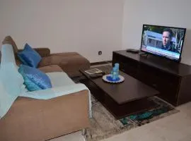 Plateau Apartment