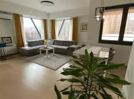 Luxurious and Spacious Apartment in Diamond Garden Building