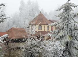 Ворота Карпат，位于Delyatyn的酒店