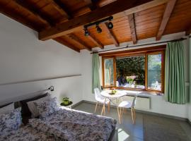 Rustico al Sole - Just renewed 1bedroom home in Ronco sopra Ascona，位于隆科索普拉阿斯科纳的乡村别墅