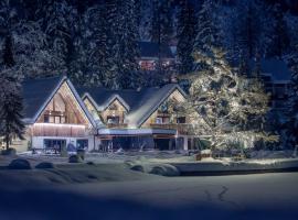 Jasna Chalet Resort，位于克拉尼斯卡戈拉的度假村