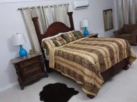 Lovely 2-Bed Apartment in the New Kingston Area