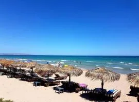 Apartment ODYSSEY La Marina ALICANTE