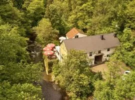 Ferienwohnung "Alte Pleiner Mühle"