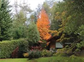 Casa en el bosque de Puerto Manzano