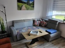 Apartament Leon