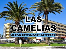 Las Camelias Apartments，位于英格兰海滩的酒店