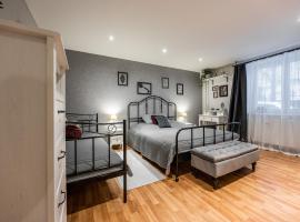 Old Town Apartment Podtatranskeho，位于科希策的酒店