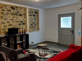 Simbas House，位于利昂尼迪翁的酒店