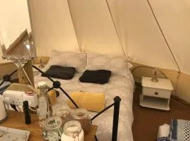 Cox Hill Glamping Badger