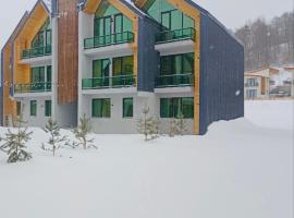 snow forest bakuriani apartment eight，位于巴库里阿尼的公寓