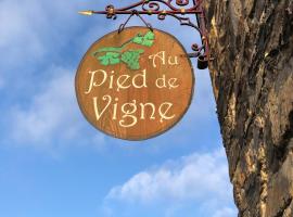 Appart Hotel Au Pied de Vigne，位于瑟穆瓦河畔夫雷斯的酒店