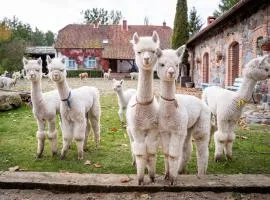 Gościniec Bocianowo