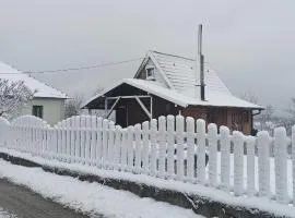 Porodicna brvnara Ivanovic