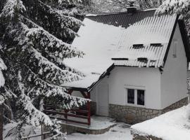 Sova，位于科帕奥尼克的酒店