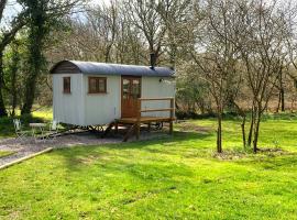 Lilliput - Delightful 1-bedroom shepherd's hut，位于霍尔斯沃西的乡村别墅