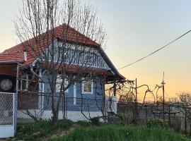 Old Mill，位于Slavsko Polje的酒店