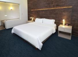 Holiday Inn Express San Luis Potosí by IHG，位于圣路易斯波托西圣路易斯波托西机场 - SLP附近的酒店
