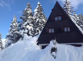 Baita Giggia sulle piste - Cavalese in Trentino Alto Adige cottage chalet，位于卡瓦莱塞的酒店