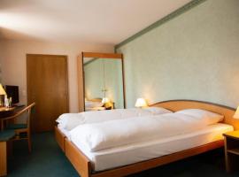 Hôtel des Alpes，位于Savigny的酒店