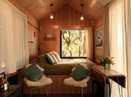 Encuentro Silvestre. Tiny house en Lago Lolog，位于圣马丁德洛斯的酒店