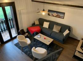 Duplex 3 chambres Vue Mont-Blanc，位于Domancy的酒店