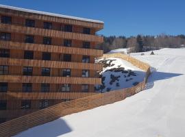 2.5 Room Apartment in Center of Flims. Ski in/out，位于弗利姆斯的公寓