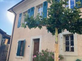 Charming Vinyard House - Lake Geneva，位于Mont-sur-Rolle的酒店