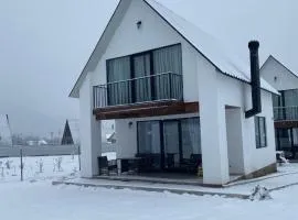 White House near Borjomi Sadgeri