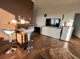 Penthouse na 12 poschodí s terasou a výhľadom na celé mesto