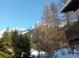 Chalet Les Charmilles - Vallée de Chamonix - 5 chambres