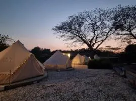 Cat A Camp - Khao Yai