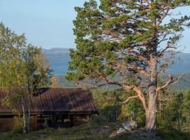 Sørbølhytta - cabin in Flå with design interior and climbing wall for the kids，位于弗洛的乡村别墅