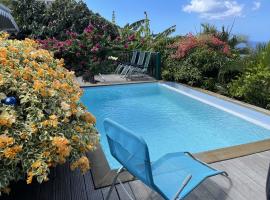 Villa de 2 chambres avec vue sur la mer piscine privee et jardin clos a Les Anses d'Arlet，位于莱昂斯-达赫雷的酒店