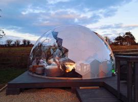 Luxury Glamping Dome with views of the Burren，位于Boston的别墅