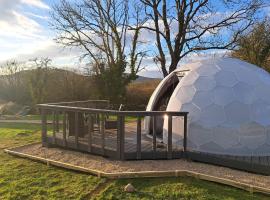 Luxury Glamping Dome with views of the Burren，位于Boston的度假屋