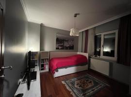 Private Room in Istanbul #48，位于图兹拉的度假短租房