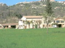 Ferme brissi