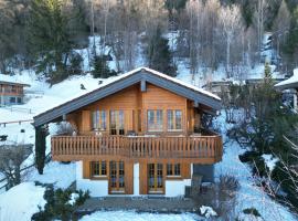 Chalet le Joyau - 6 pers - ambience cosy proche du centre!，位于南达的酒店