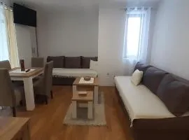 Gamma Apartment