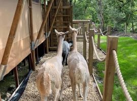 Robin Hood Safari Tent，位于滕比的酒店