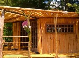Cabanes des Landes- cabane sur pilotis