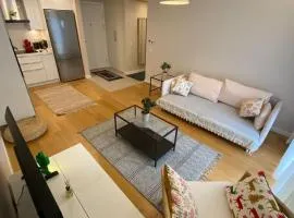 Cebeci Chic and Cosy Apartments