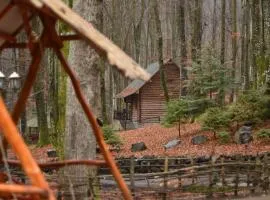 База відпочинку ШИПОВЕЦЬ