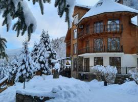 Hotel Dykyi Med，位于塔塔里夫的酒店