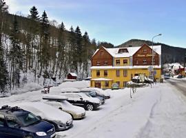 Pension Cortina，位于派克波特斯耐兹库的酒店