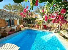 Surfers-Lounge-Dahab Lagoon with Swimming-Pool - Breakfast - Garden - Beduintent - BBQ - Jacuzzi