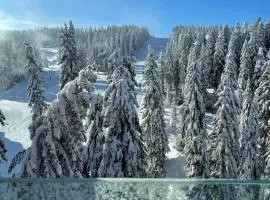 Woodside Kopaonik & SPA by Slopeview