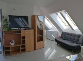 Apartman Nataša 3，位于弗尔沙茨的酒店